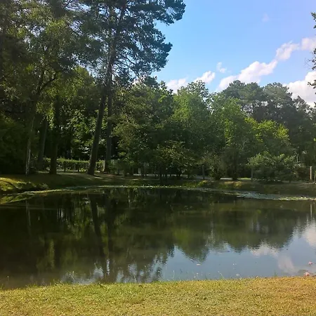 Meuble Avec Etang En Lisiere De Foret. *