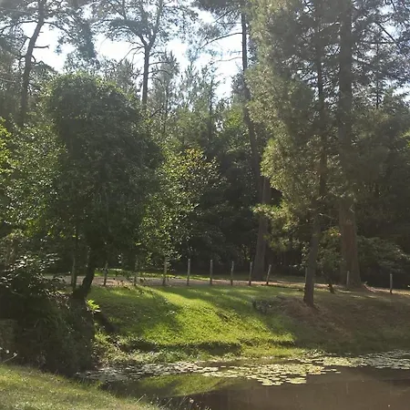 Meuble Avec Etang En Lisiere De Foret. *