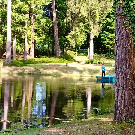 Meuble Avec Etang En Lisiere De Foret. *