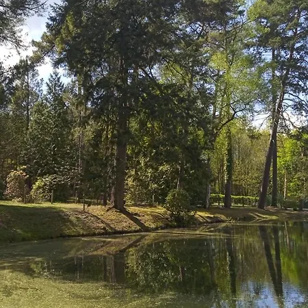 Meuble Avec Etang En Lisiere De Foret. Nyaraló
