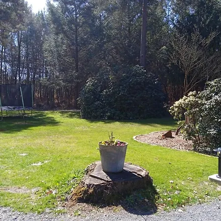 Meuble Avec Etang En Lisiere De Foret. Semesterbostad Saint-Mars-dʼOutillé