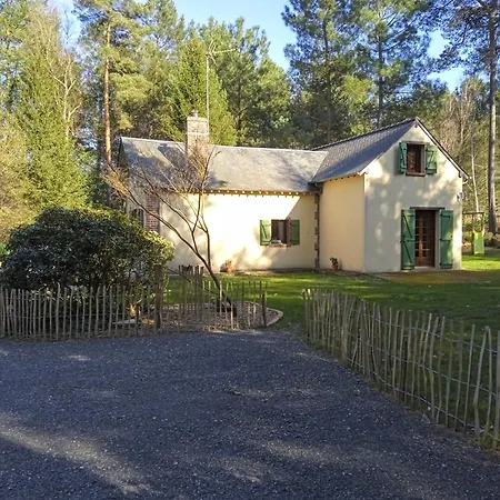 Meuble Avec Etang En Lisiere De Foret. * Saint-Mars-dʼOutillé
