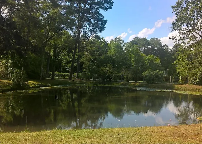 Meuble Avec Etang En Lisiere De Foret. *