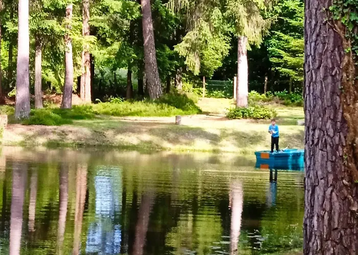 Meuble Avec Etang En Lisiere De Foret. *