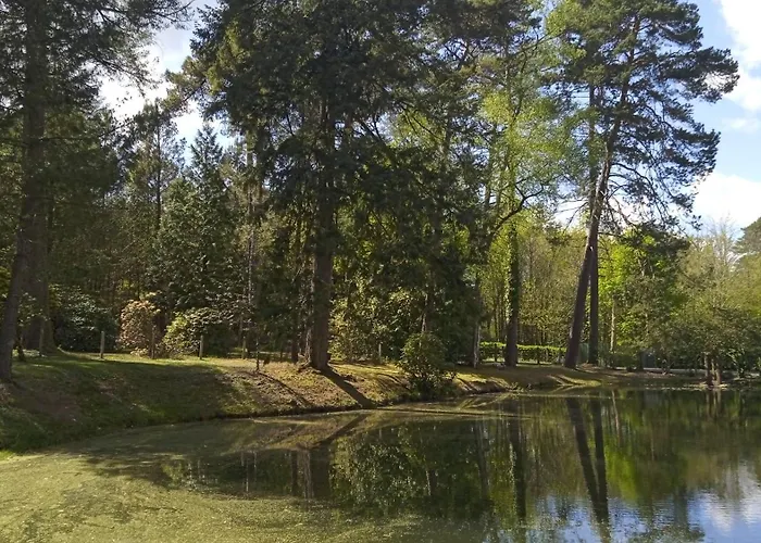 Meuble Avec Etang En Lisiere De Foret. 펜션