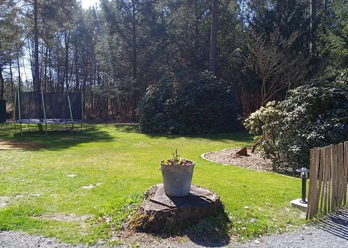 Meuble Avec Etang En Lisiere De Foret. 펜션 Saint-Mars-dʼOutillé